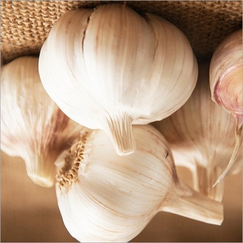 Garlic Bulb - Food Grade, 6 Months Shelf Life | Organic, Pesticide Free, Antioxidant-Rich, Versatile Culinary Use