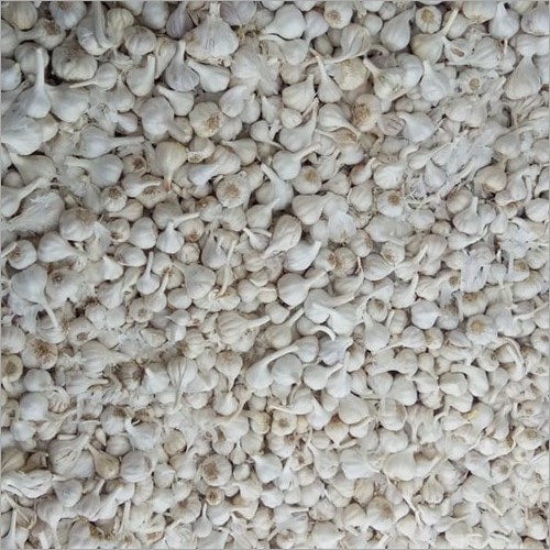 Fresh Garlic Bulb - Organic, Pesticide-Free | White Color, Food Grade, Normal Taste, Shelf Life 6 Months, Secured Packaging