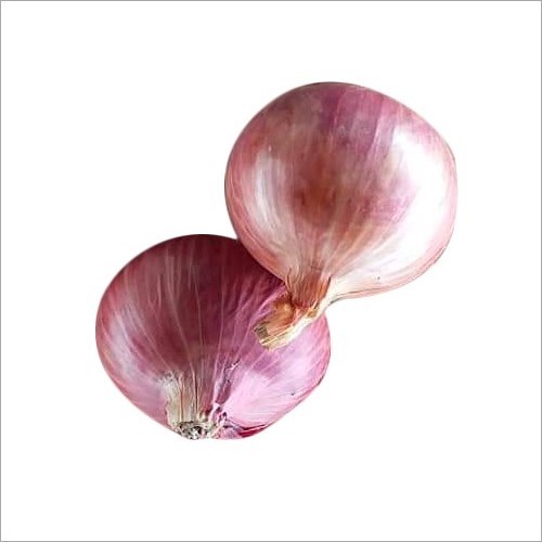 Red Onion - Organic, Pesticide Free | Rich Red Color, Food Grade, 3 Months Shelf Life, Ideal for Cooking