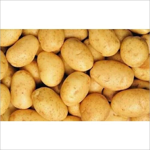 Fresh Potato - Organic, Pesticide Free | Rich in Potassium, Fiber, Vitamins, Cholesterol & Fat Free, FSSAI Certified