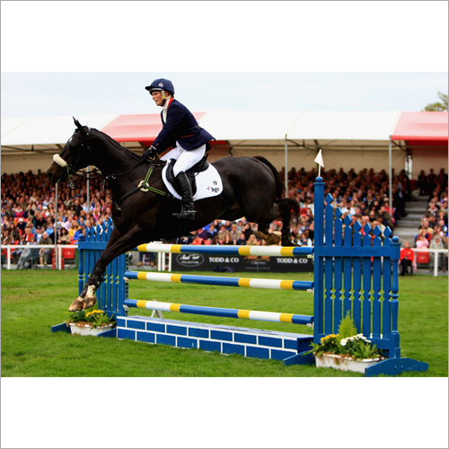 हॉर्स पेंटेड जंपिंग पोल