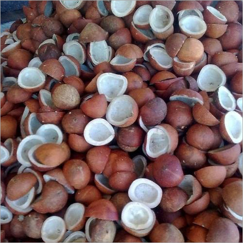 सूखे प्राकृतिक नारियल कोप्रा