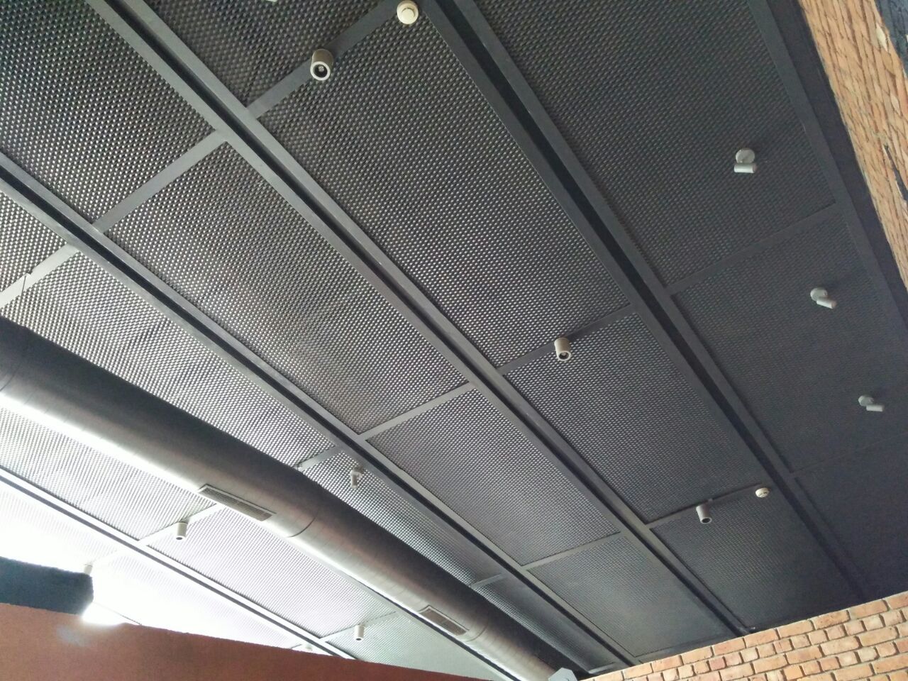 Durable Expanded Metal Skylight Guards