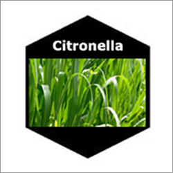 सिट्रोनेला प्राकृतिक आवश्यक तेल