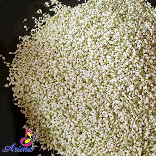Marigold - Fresh Jasmine & Marigold Flowers | Stem Length 1 To 1.5 Inches, Color White To Mild Reddish, Shelf Life 2-3 Days