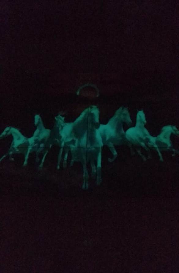 Multi Color 7 Horses Night Vision Tiles