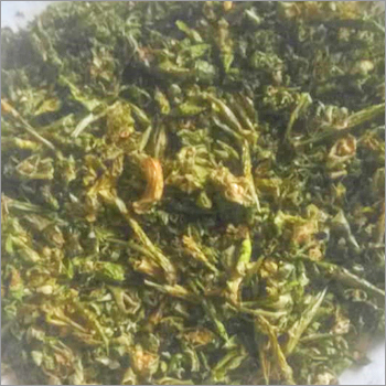 हरी मिर्च के गुच्छे