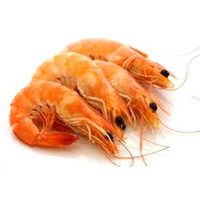 Fresh Prawns