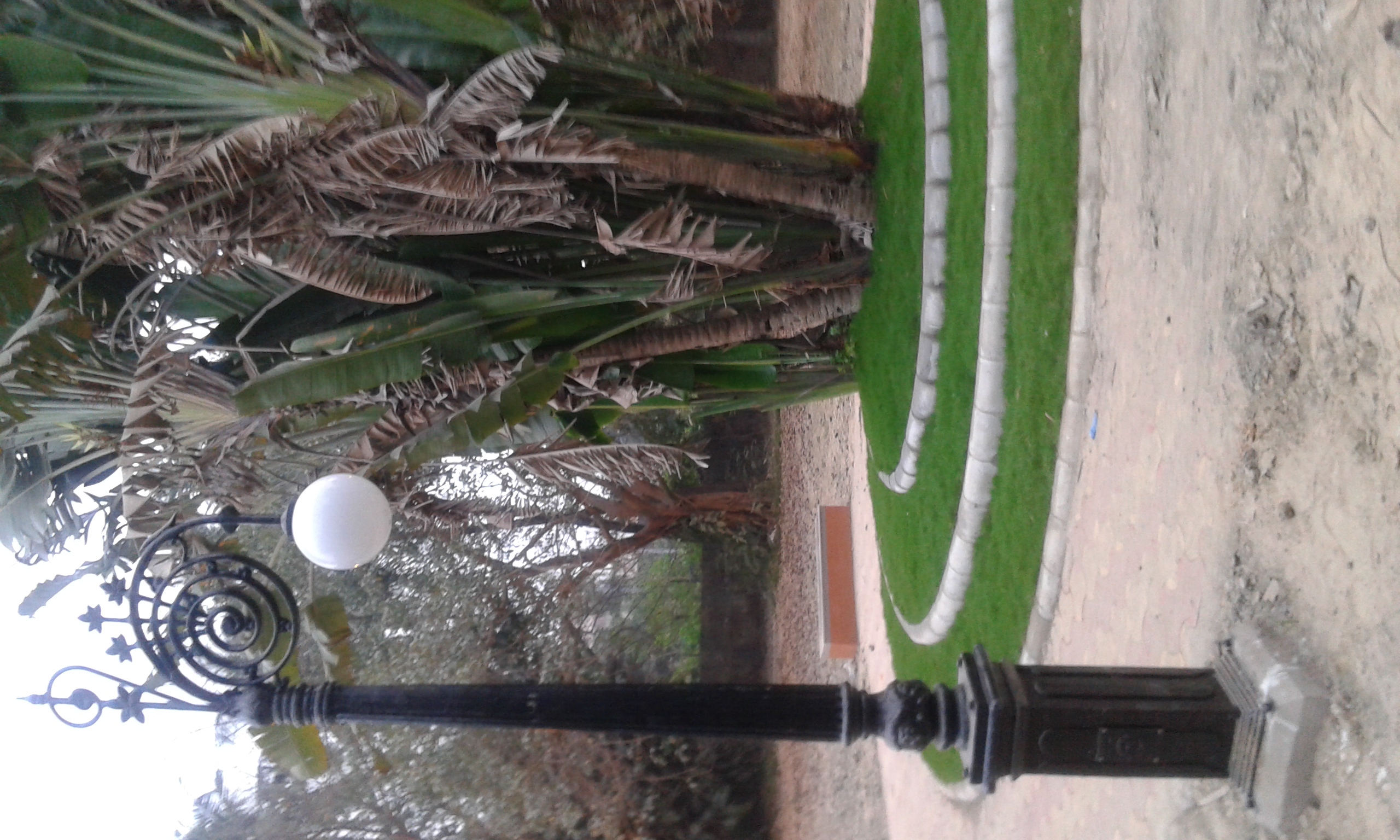 Ci Lamp Post - Color: As Per Order