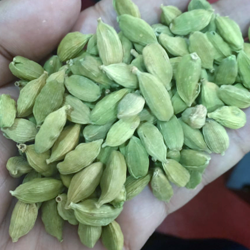 हरी इलायची