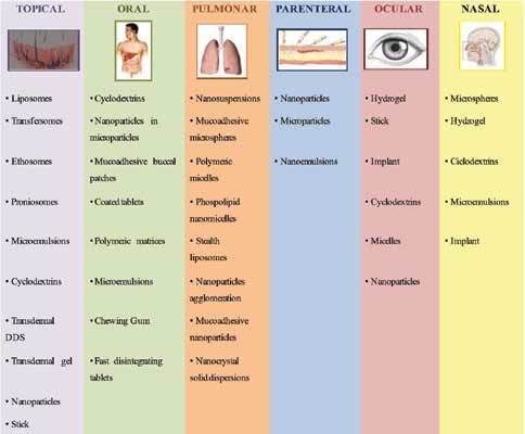 Allergy, Asthma & Immunology Diagnosis & Treatment