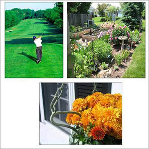 गोल्फ कोर्स, होम गार्डन के लिए एग्रीलाईट