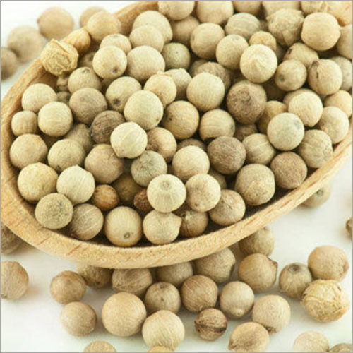 White Pepper Grade: A
