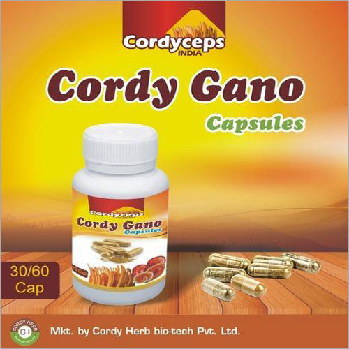 Ayurvedic Medicine Cordy Gano Capsule