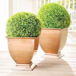 Rose Gold Garden Planter