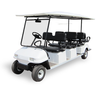 8 Seater Passenger Buggy