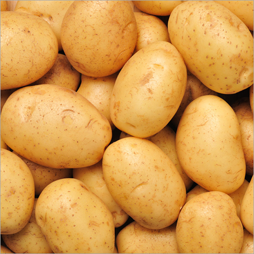 भूरा अंडाकार आलू