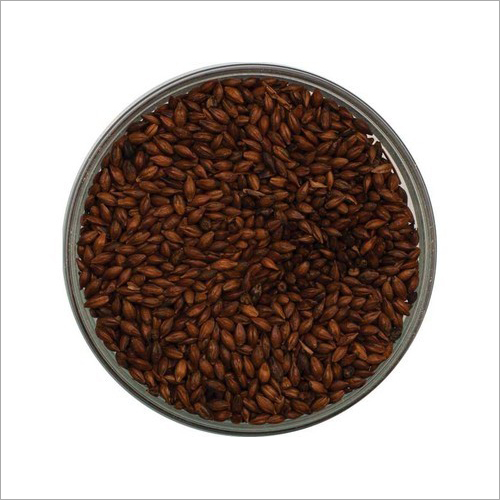 Brown Roasted Barley Malt Seed