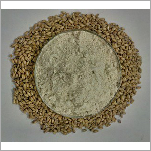 Off White Wheat Malt Powder