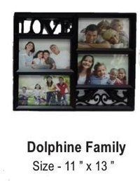 डॉल्फिन परिवार