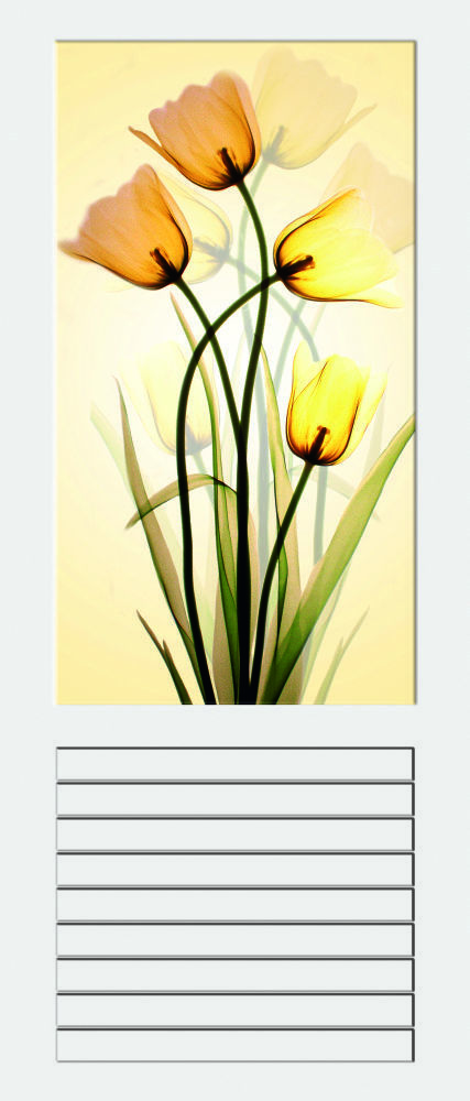 Multicolor Flowers Design Door - Design: Printed