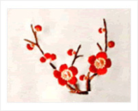 Transparent Cold Water Pva Film