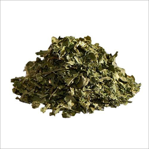 Dried Coriander Leaves - Organic Grade A Green Leaf | Preserved Vegetables with 12 Months Shelf Life
