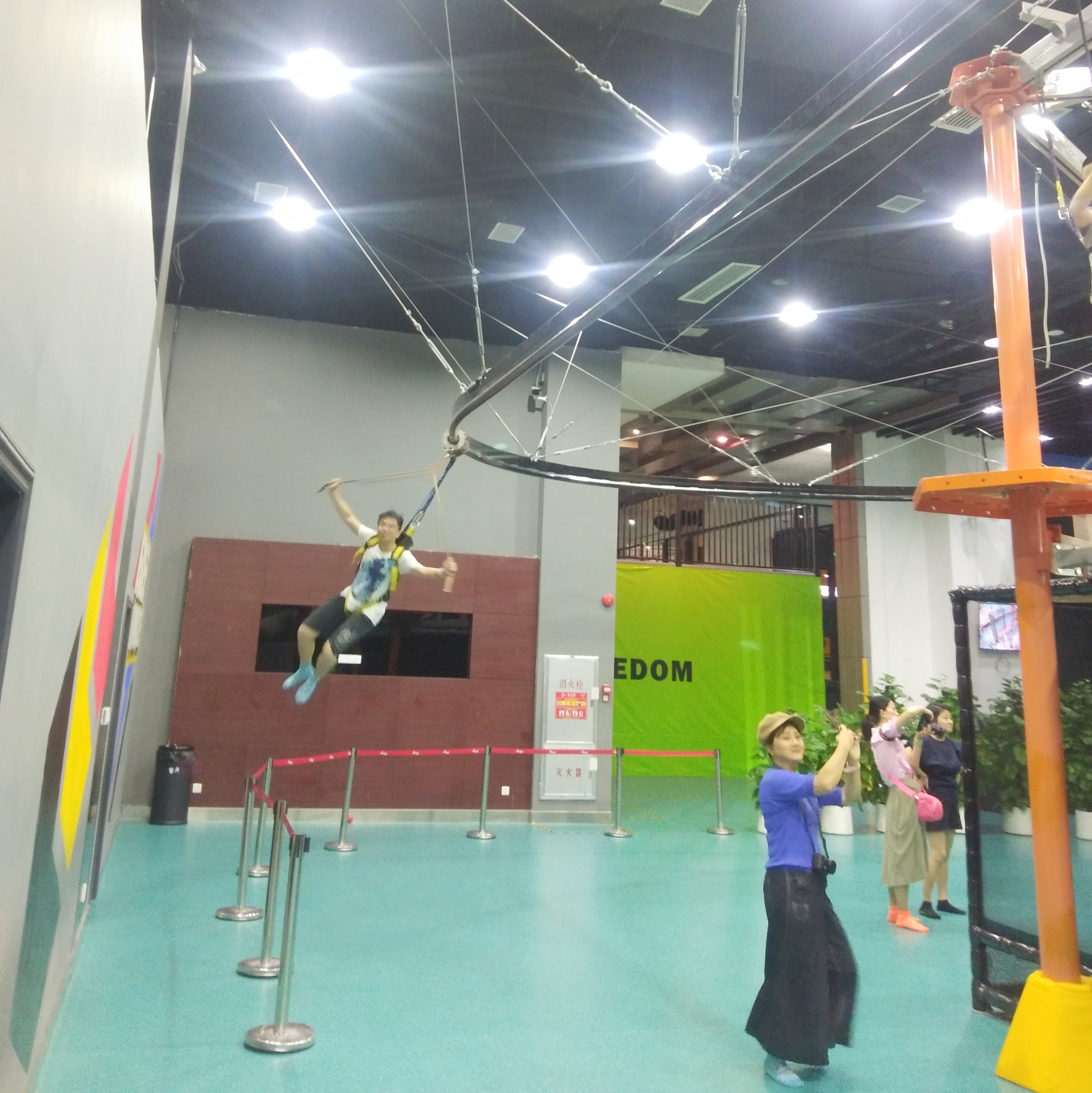 Zip Line Roller Coaster