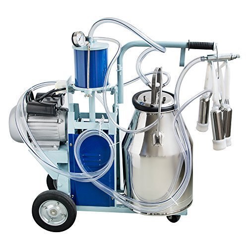Single Bucket Milking Machine - Stainless Steel, 100 Kg/hr Capacity | Efficient Milking Solution with Durable Design