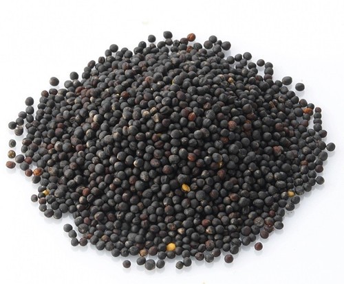 बलात्कार के बीज