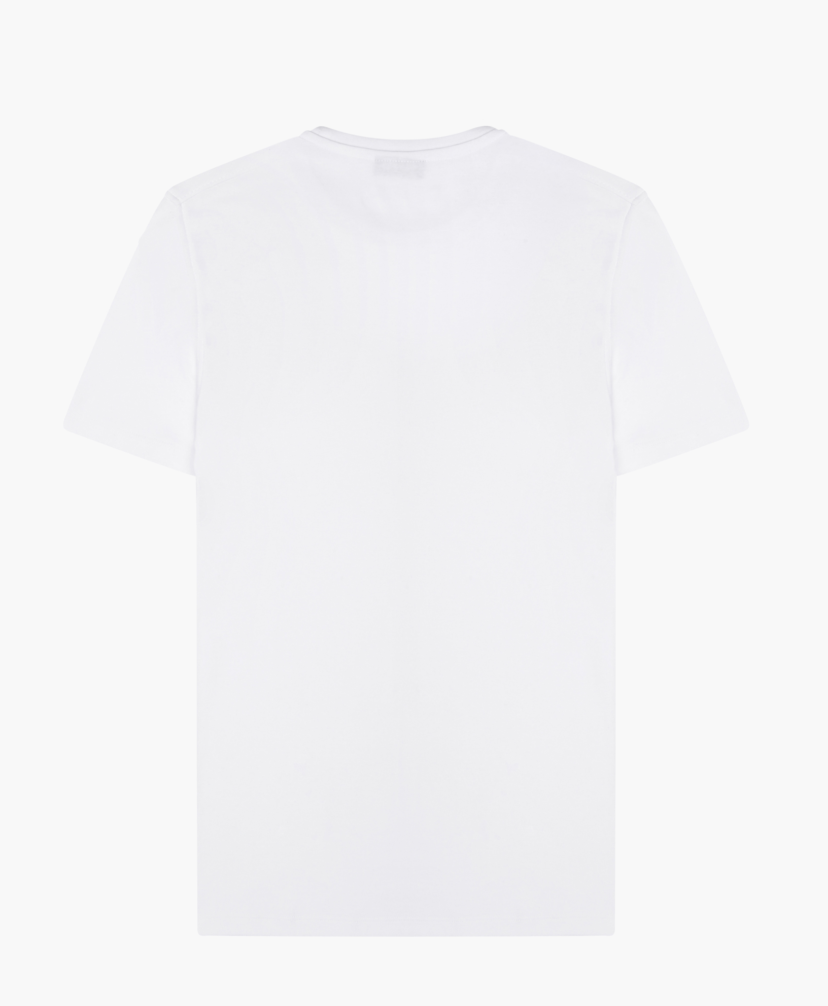 White V Neck T-shirt - 100% Cotton, Sizes S-xl, Color White, Half Sleeve, Plain Design | Ideal For All Seasons, Customizable Print Options