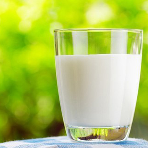 White Cow Milk