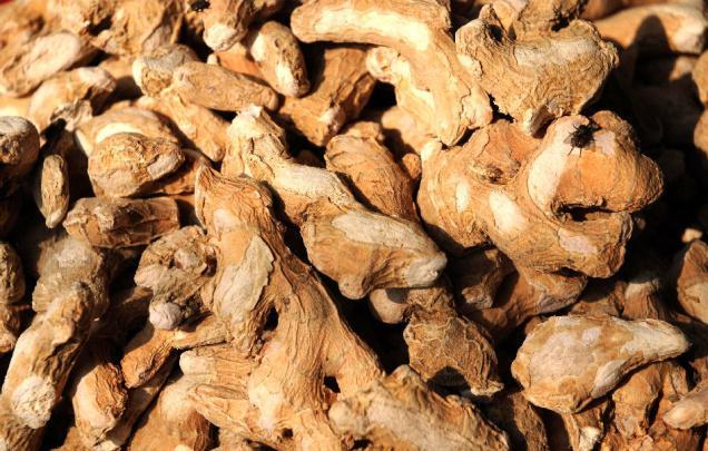 Brown Dry Ginger