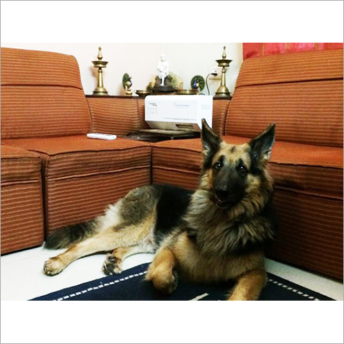 Air Sterilizer For Pets