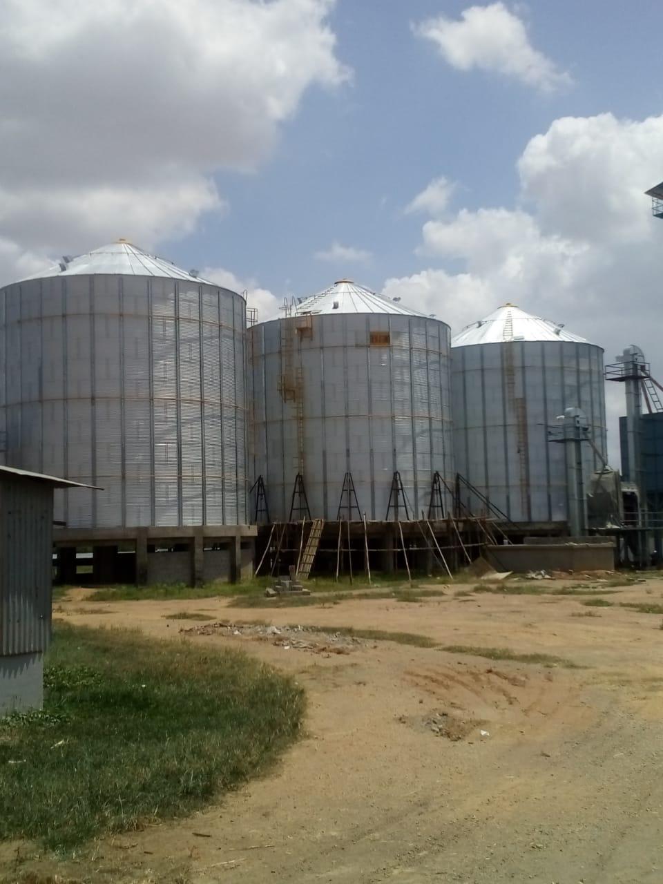 Grain Storage Silo
