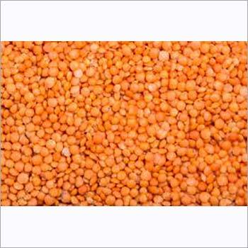Masoor Dal - Pink Lentils, 12% Moisture, Customizable Solution for Freshness & Easy Storage, Ideal for Fat-Free Sprouts