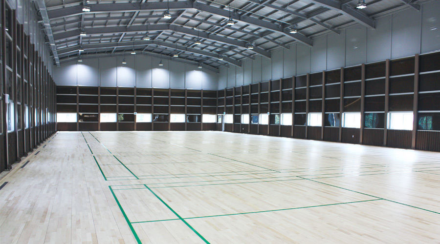 True Colour Badminton Court Lighting System