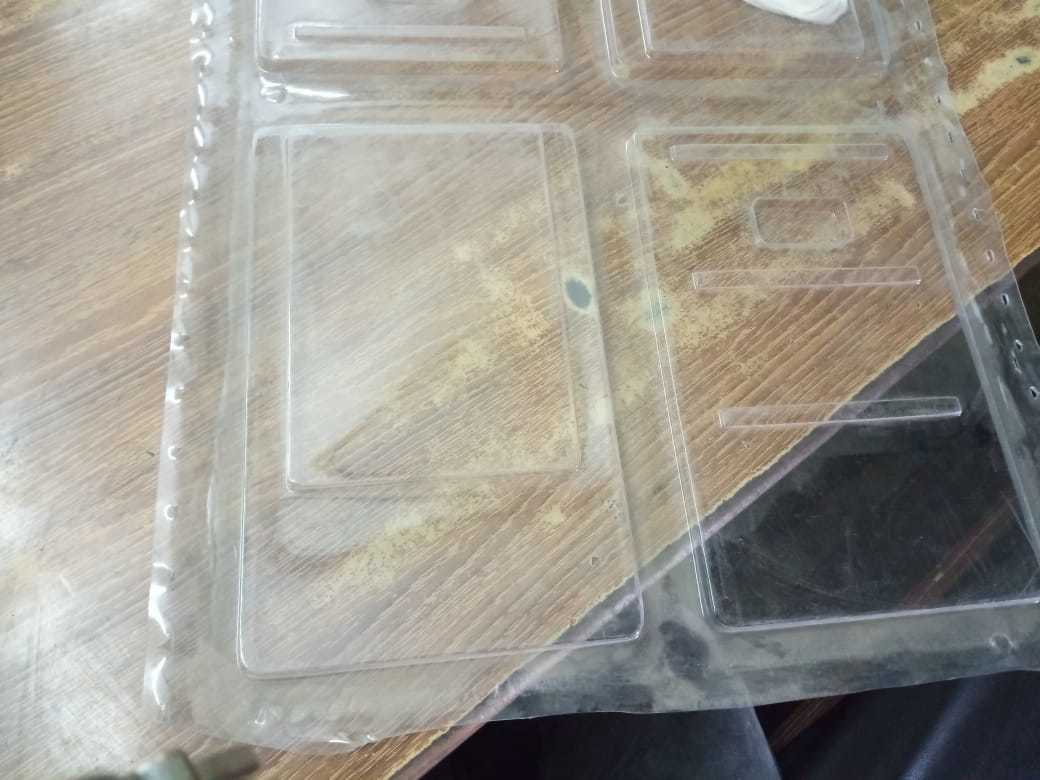 Blister Food Packaging Tray