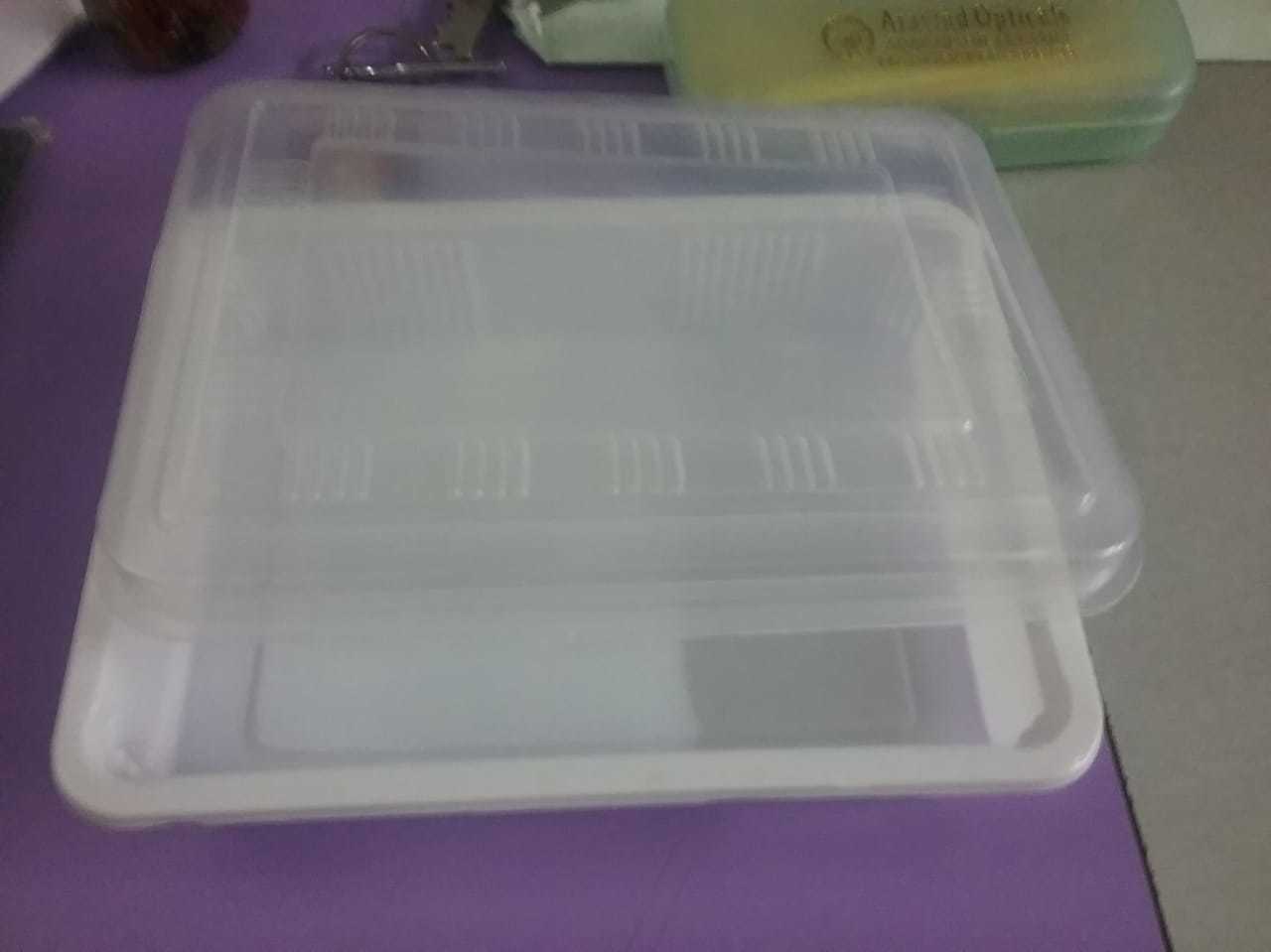 Blister Food Packaging Tray