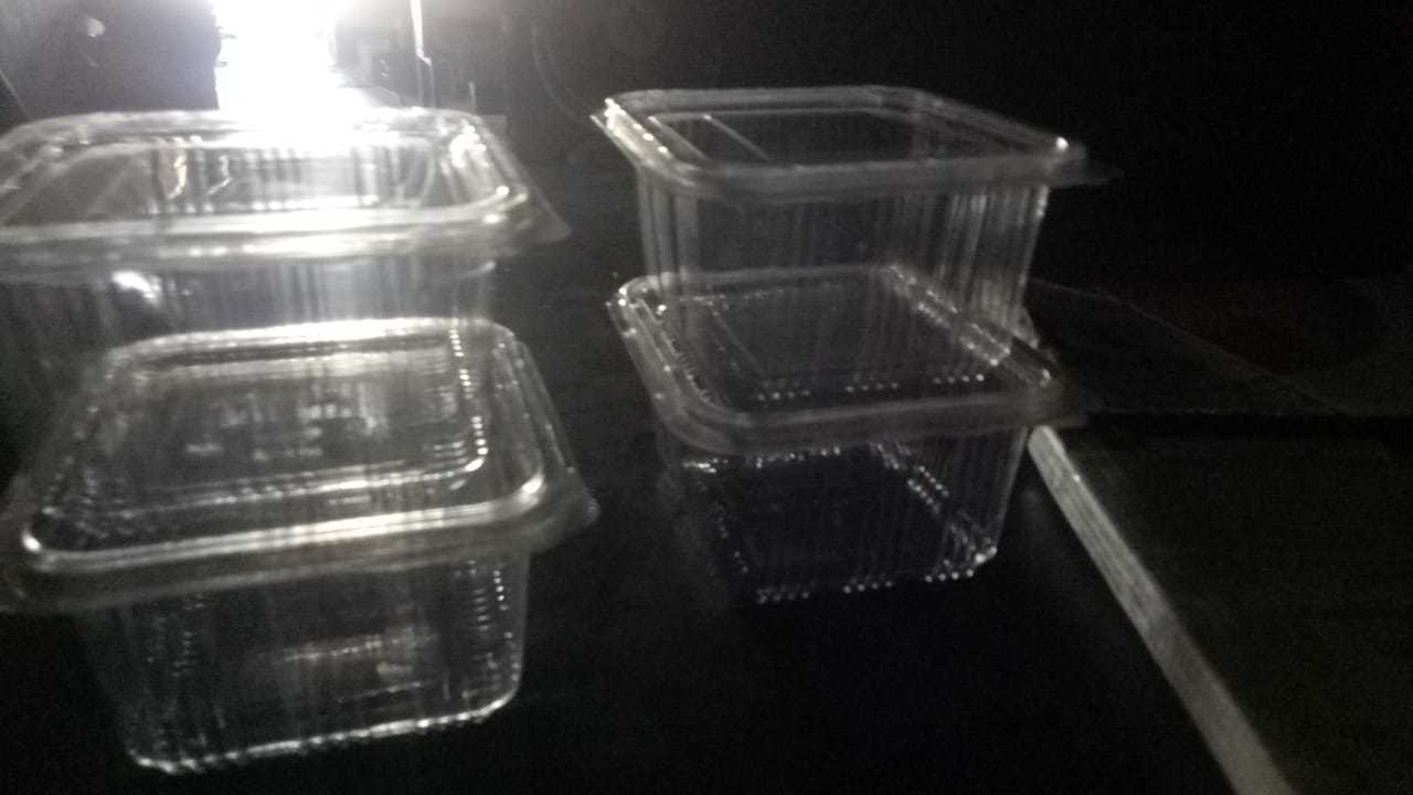 Blister Food Packaging Tray