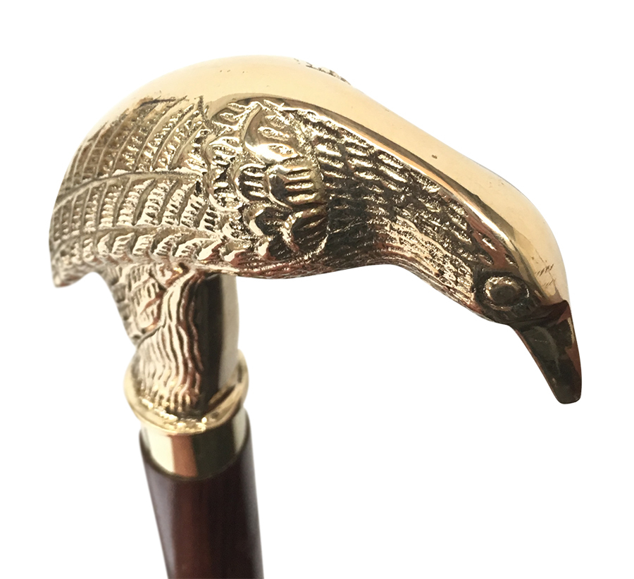 Walking Stick (Bird)