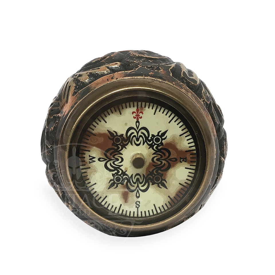 Walking Stick (Compass)