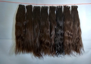 Temple Collection Indian Human Hair