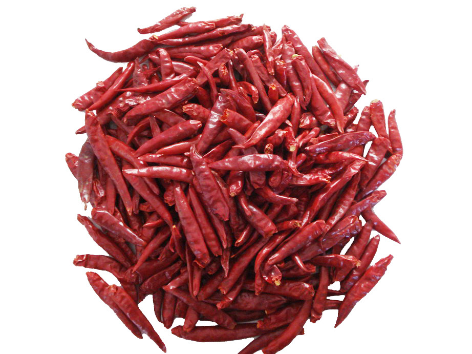 Whole Dry Red Chilli - 25 Kilograms, 99% Purity, Hot Spicy Taste, Cool Dry Storage, Elongated Shape, Top Grade Quality, 24 Months Shelf Life