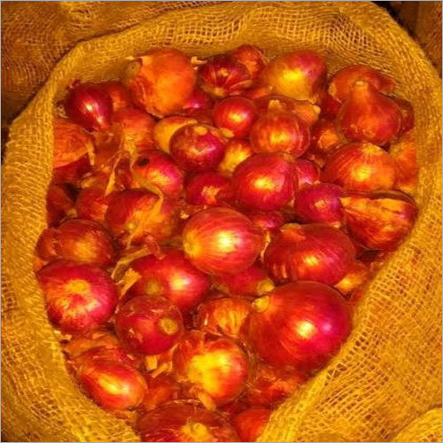 Fresh Organic Onion