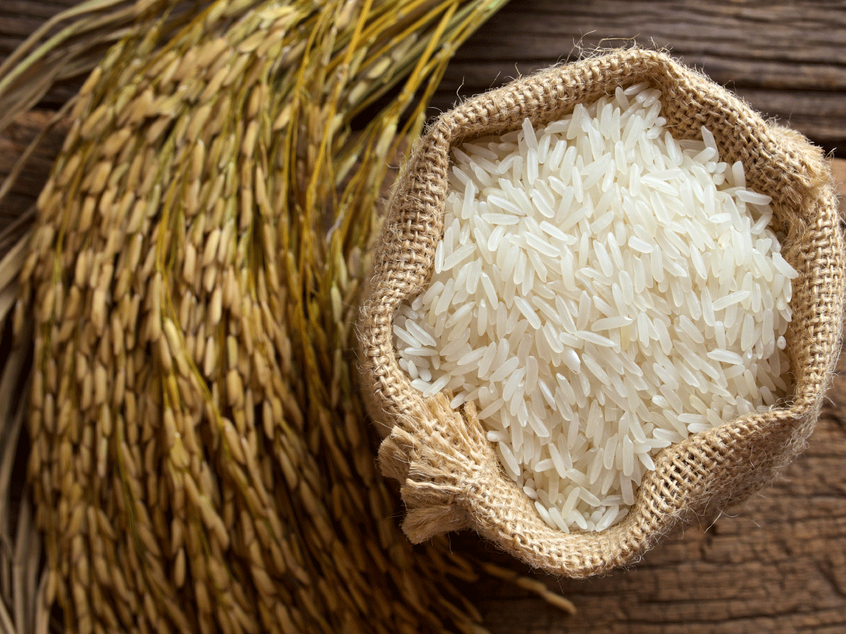 Indian Basmati Rice Admixture (%): 0%