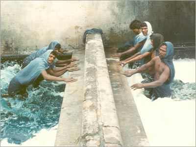 तरल ऐक्रेलिक रंग