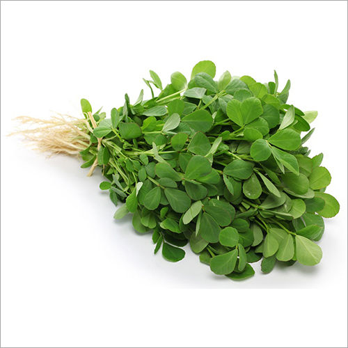 Frozen Fenugreek Leaves - Preserved Whole Green Leaves, 250g to 1kg | Cleaned, Dry Roasted, 18 Months Shelf Life