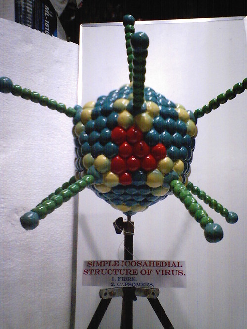 ब्लू वायरस स्ट्रक्चर