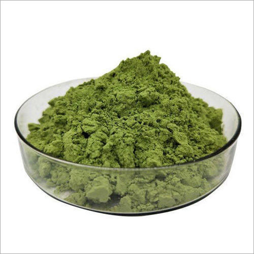 Green Ficus Racemosa Leaf Extract